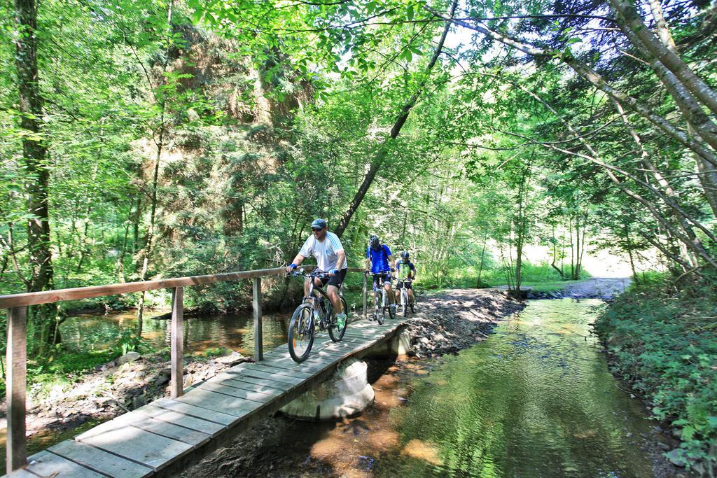 Hotellerie De Plein Air Camping Leychoisier Bonnac-la-Côte 외부 사진